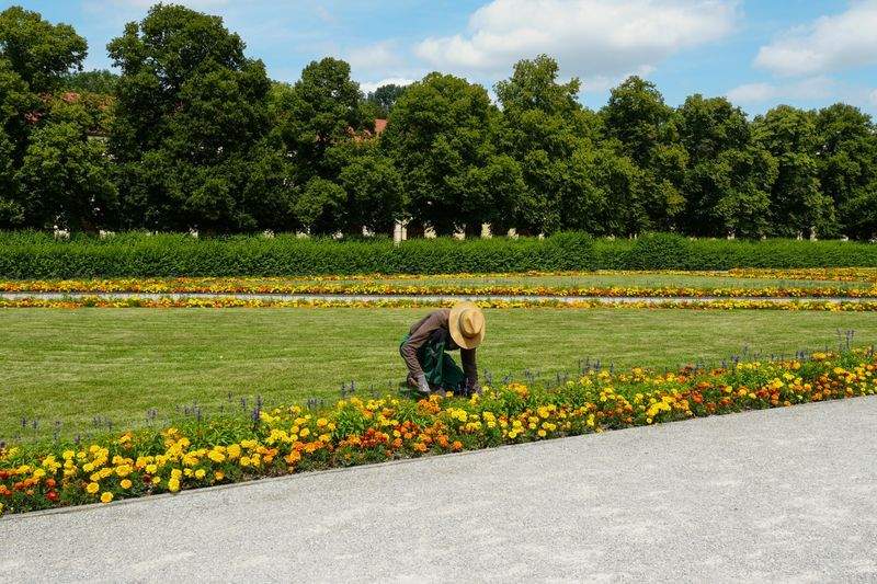 雑草対策を考えるなら、植栽計画から